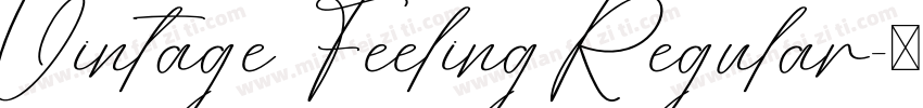 Vintage Feeling Regular字体转换